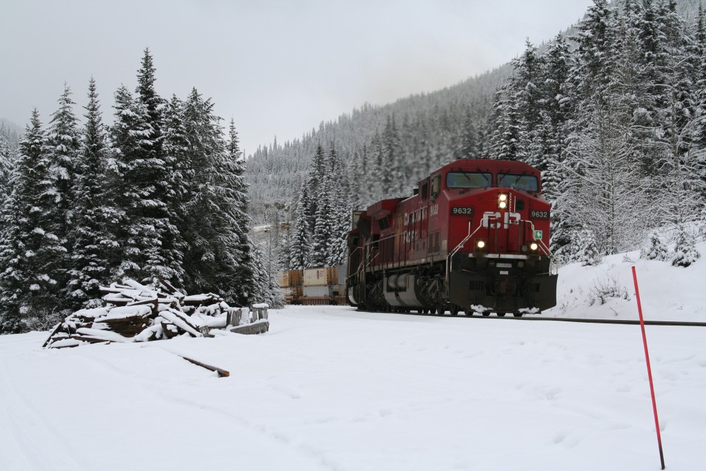Eastbound Intermodal at Yoho