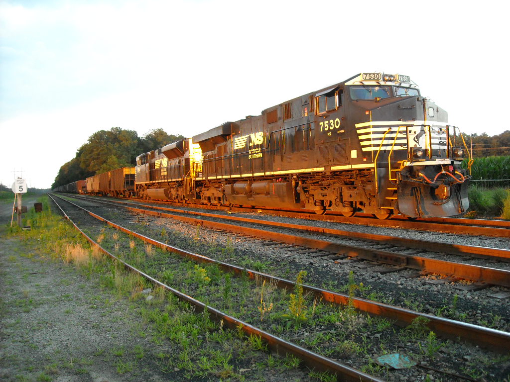 Empty coal train