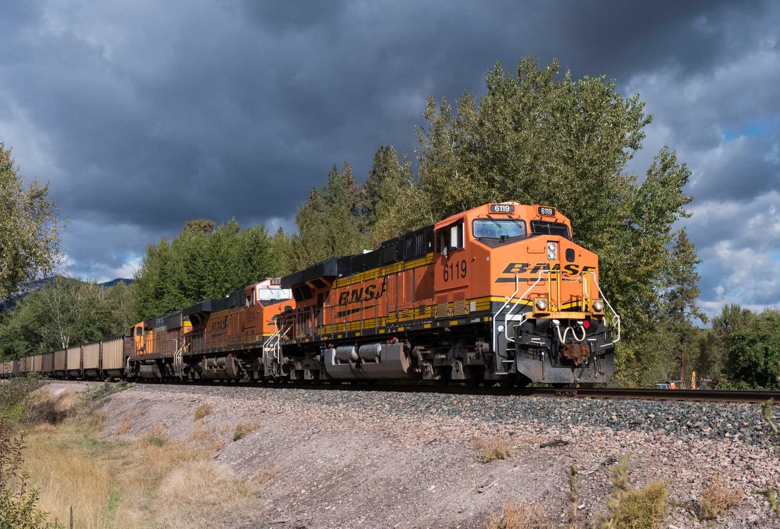 Empty Coalers at Dixon.jpg