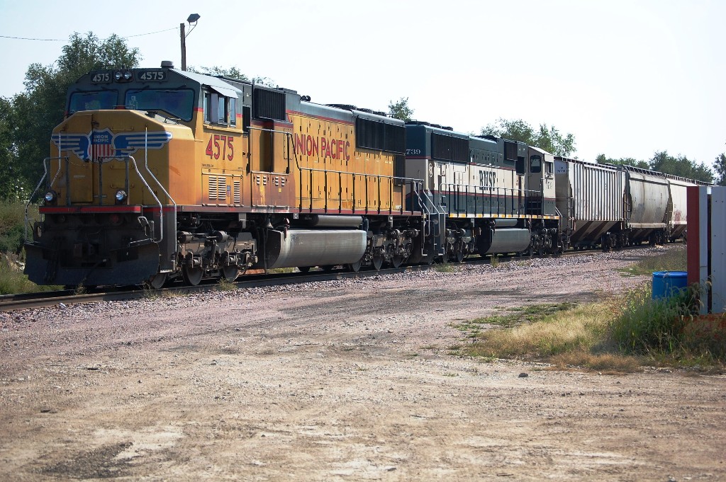Empty Sterling Il  UP Grain Train