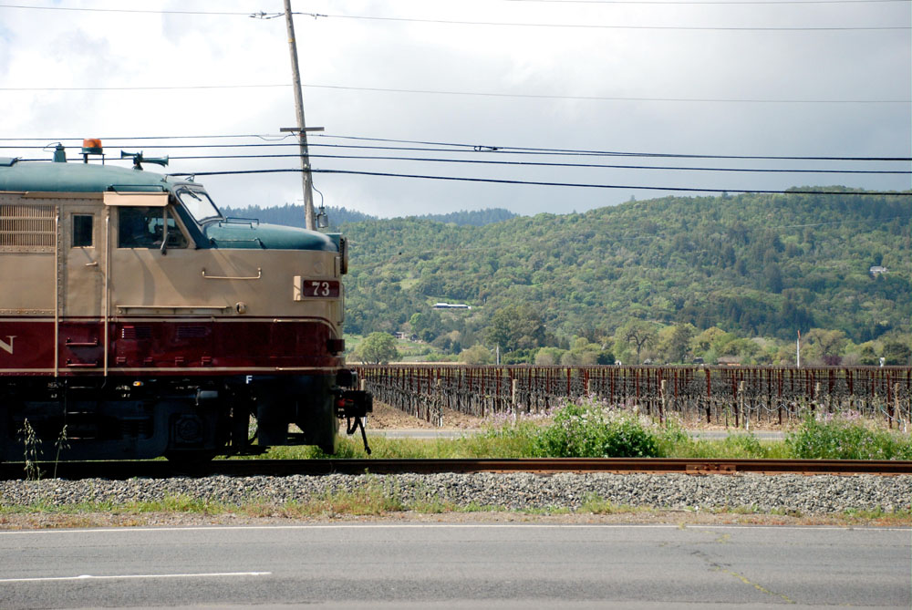 Engine 73 and...vineyards!