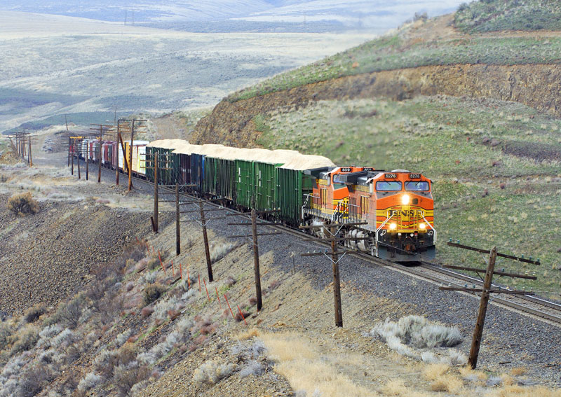 EveSpo near Trinadad