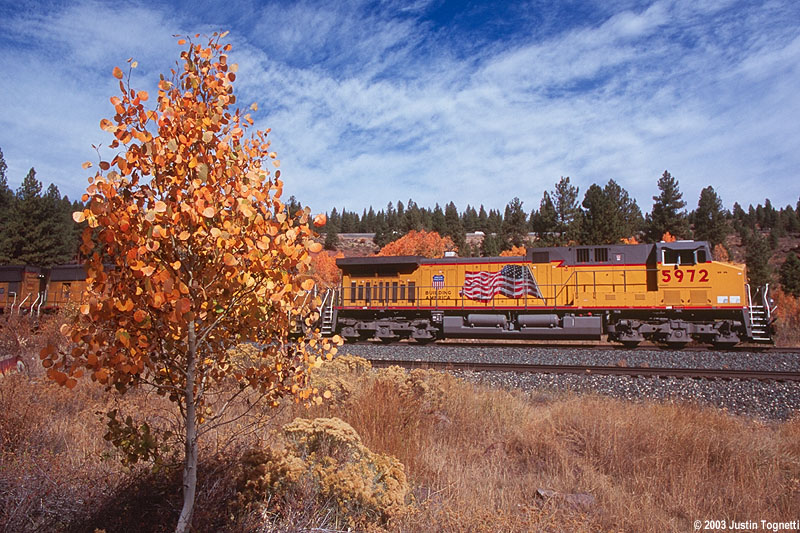 Fall Color @ Hirschdale