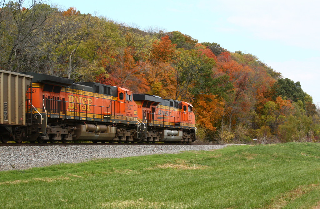Fall Colors