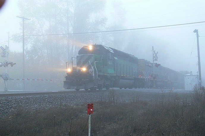 Foggy Morning