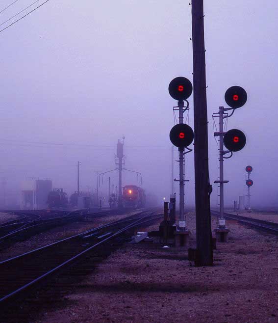 Foggy Morning