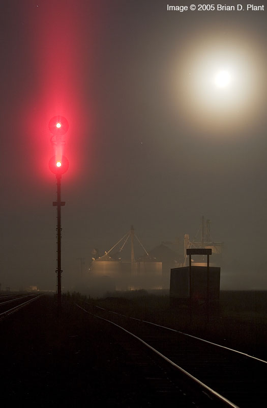 Foggy Night