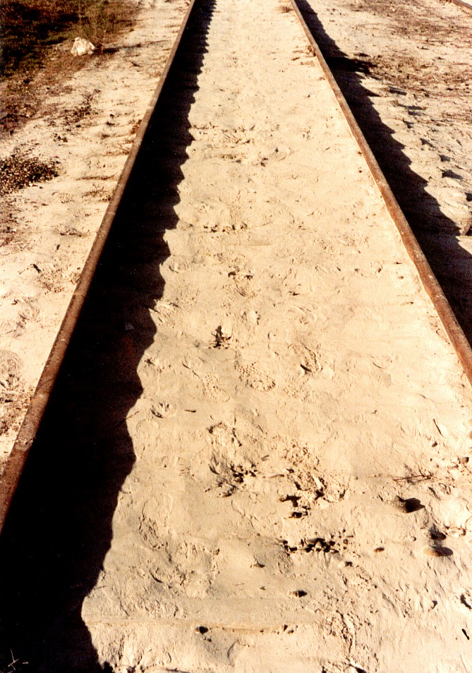 Free Ballast