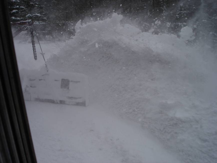 Fresh powder