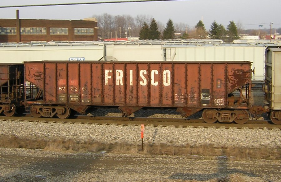 Frisco Survivor