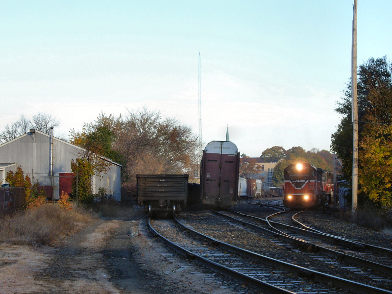 Frosty Yard