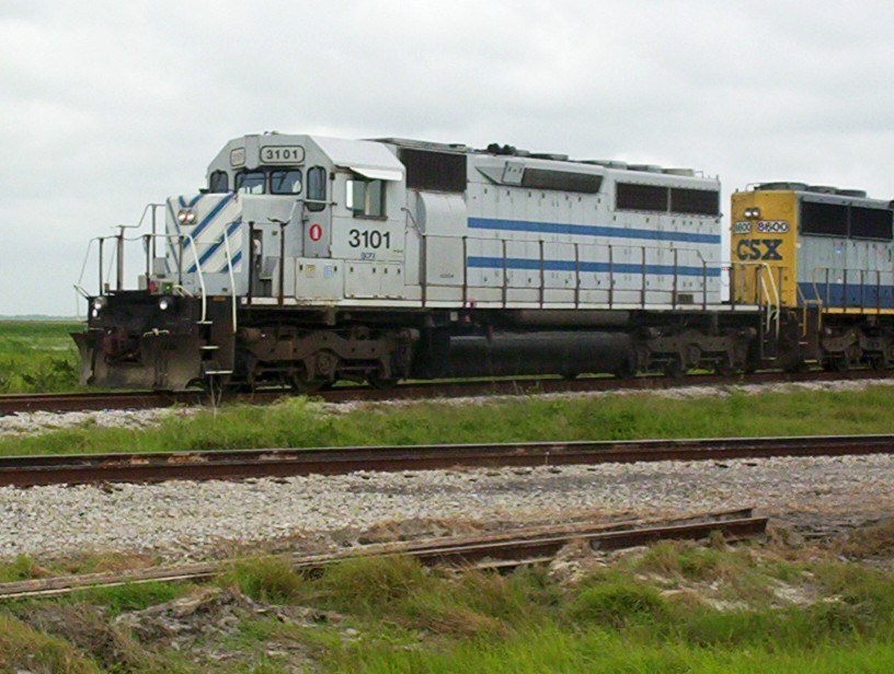 GCFX 3101