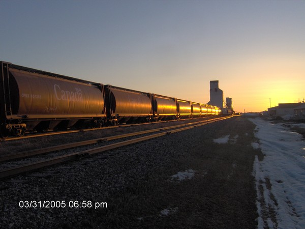 Golden Grain Cars