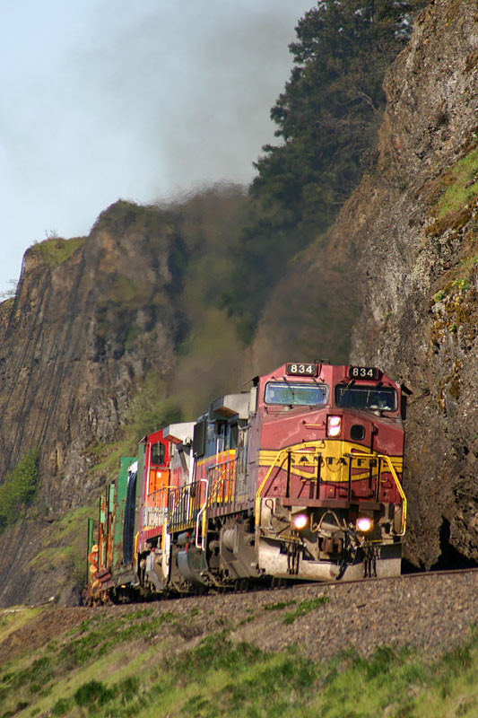 Grunge in the Gorge