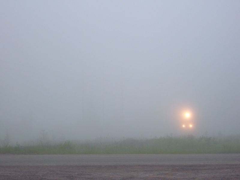 Headlights in the Fog