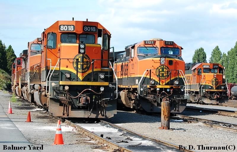 Heritage -1- line up