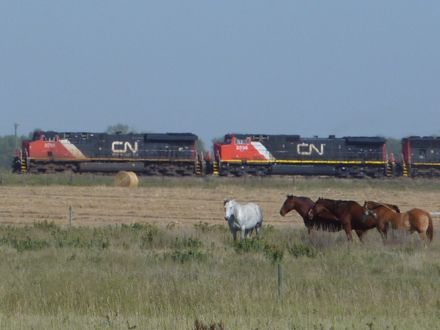 Horses vs Horsepower