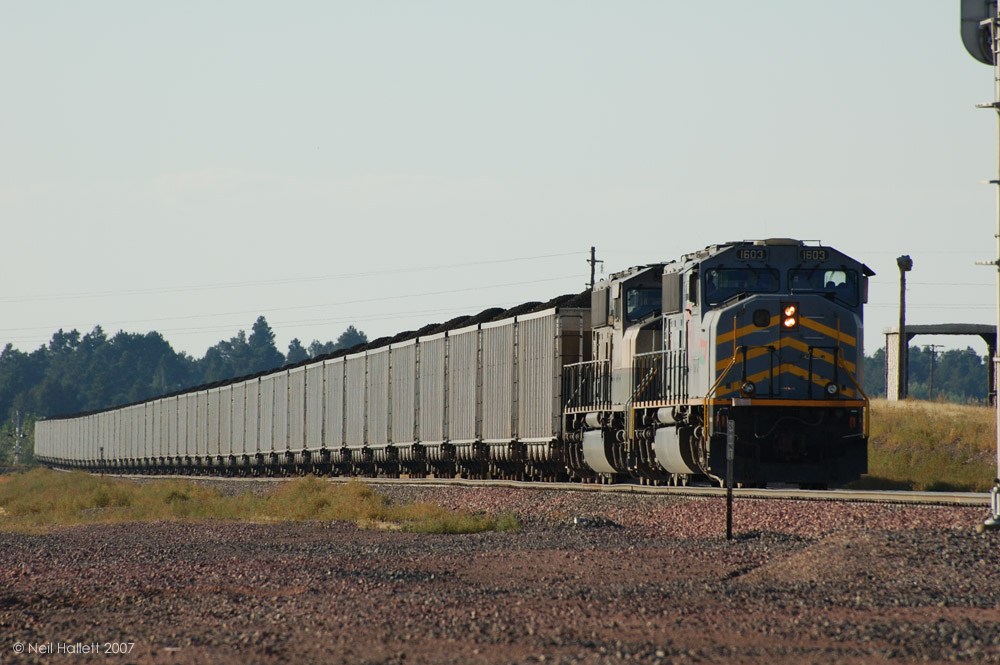 In the basin, 49 cars visible.