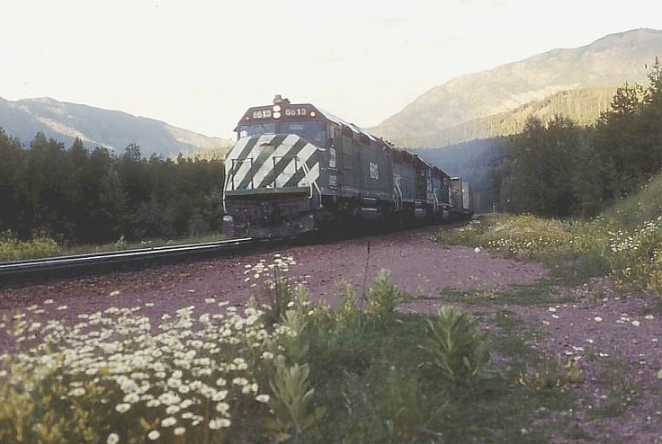 In the Rockies