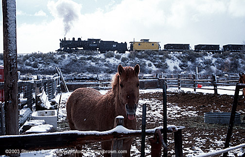 Iron Horse and Horse in the snow