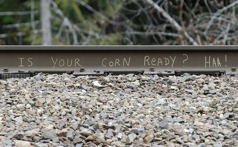 Is your Corn ready