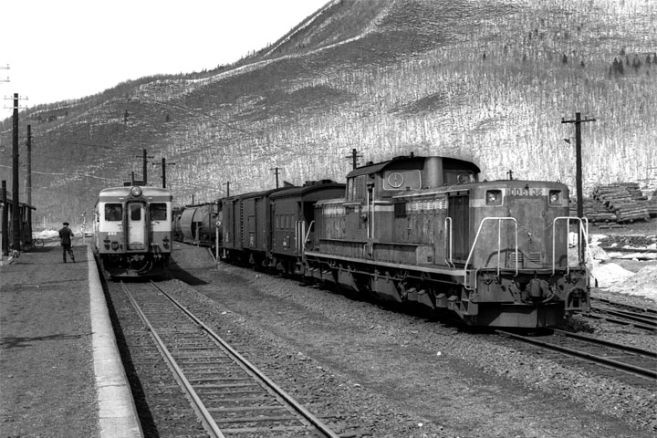 JNR DD51 at Ikutahara