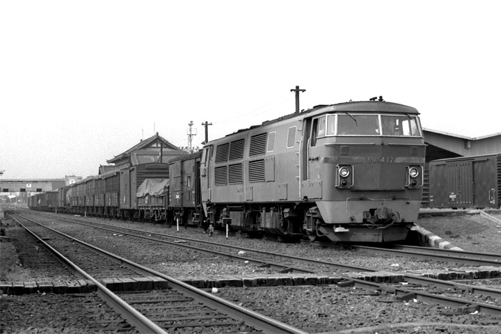 JNR DD54 at Nijyo