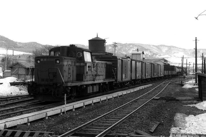 JNR DE10 at Ikutahara