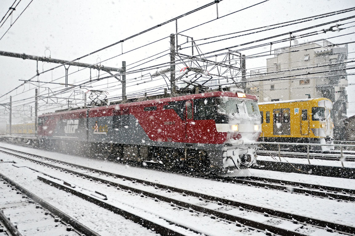 JR-Freight model EH500, EH500-3 at Shin-okubo