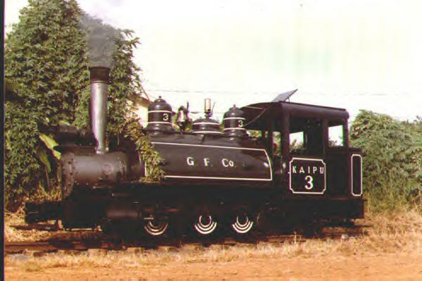 Kaipu at Grove Farm