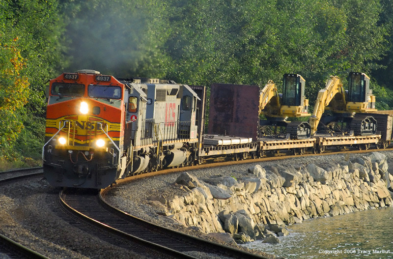 KCS and Cats