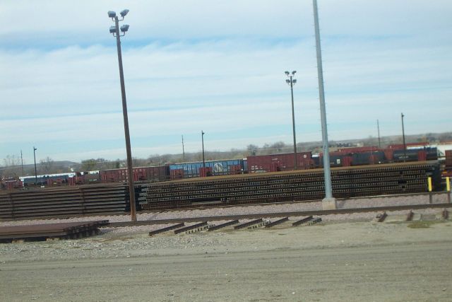 Laurel Yard