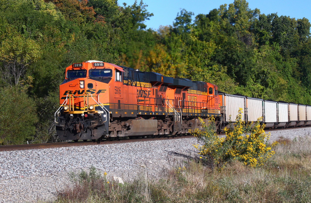 Loaded Coal