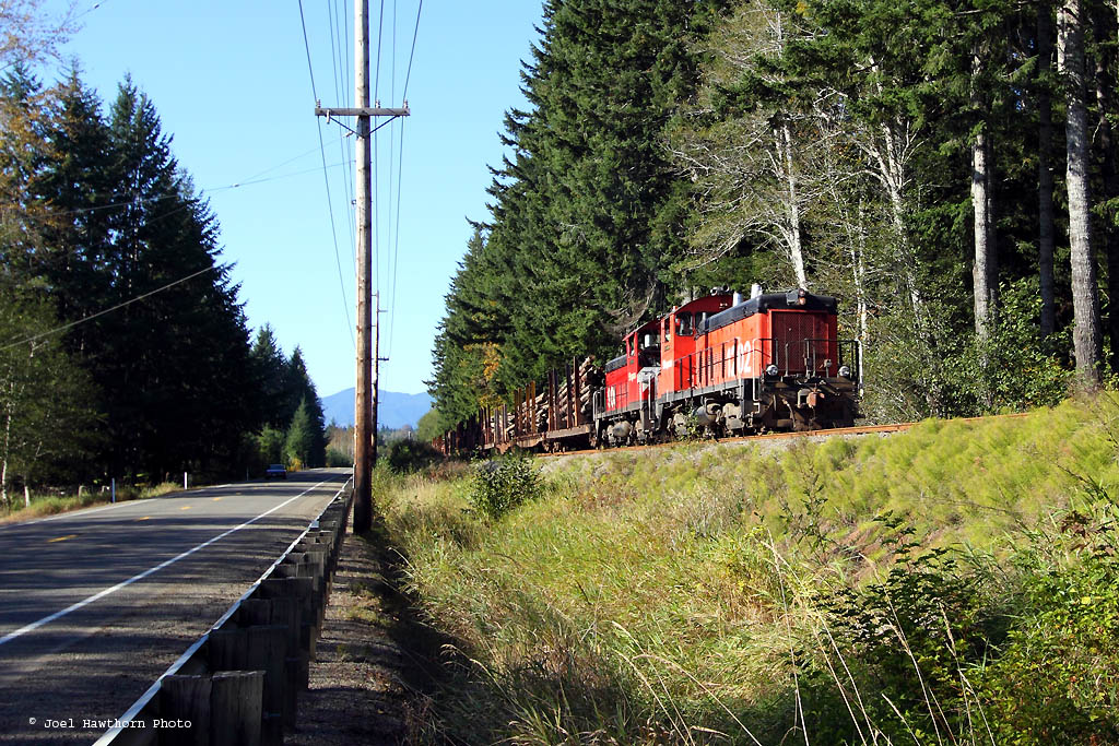 Logger Along the Highway