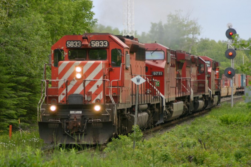 Loon Siding