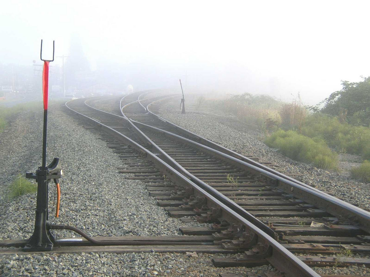LOST IN THE MIST