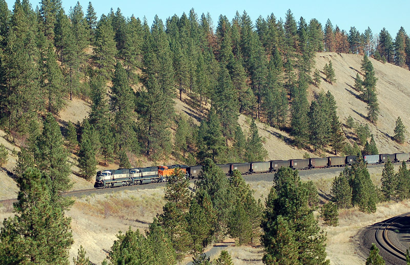 Marshall Canyon Hi Line