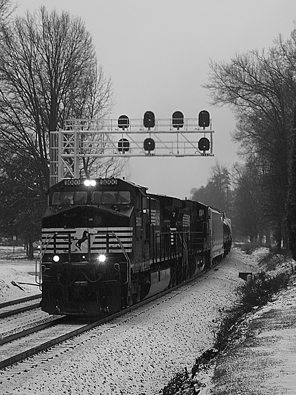 MG_5537