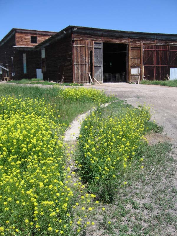 MILW Roundhouse
