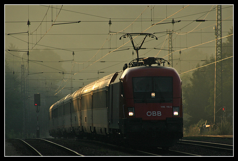 Misty Morning BB-EC