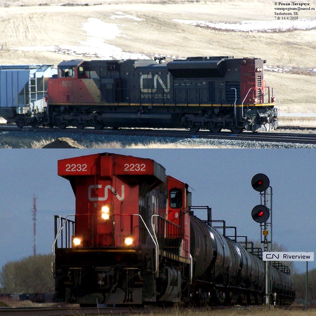 Neck pain express