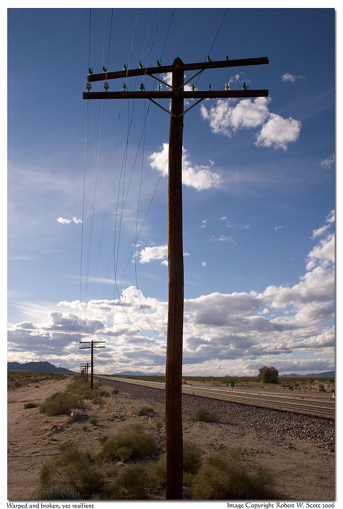 Needles Sub