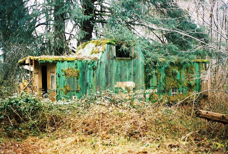 Neglected BN Caboose