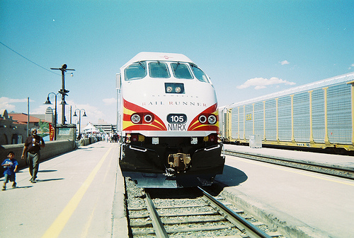 New Mexico Rail Runner at Birthday Party 07