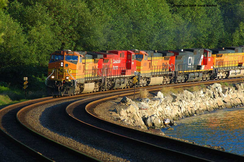 Nice Consist
