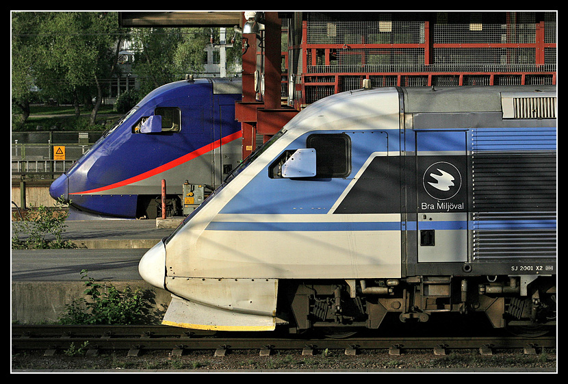 Noses at Service