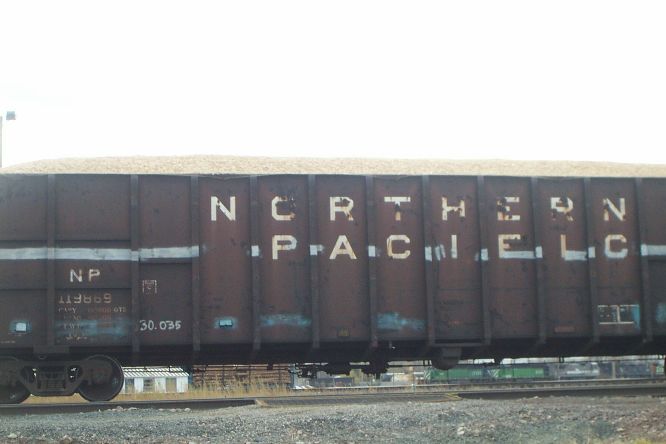 NP wood chip car