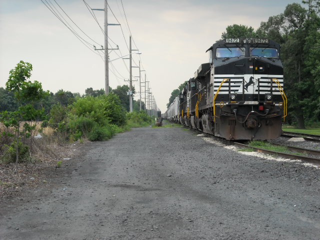 NS 13G