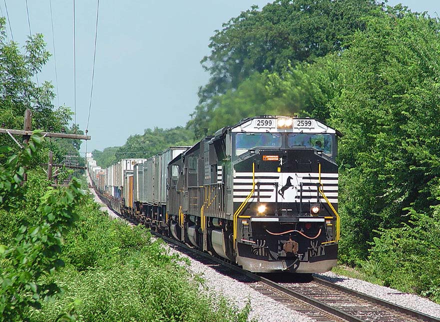 NS 2599