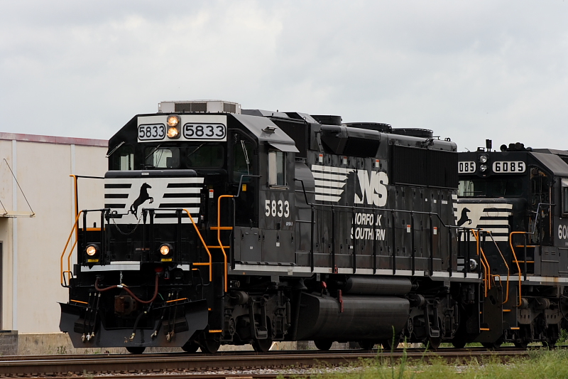 NS 5833